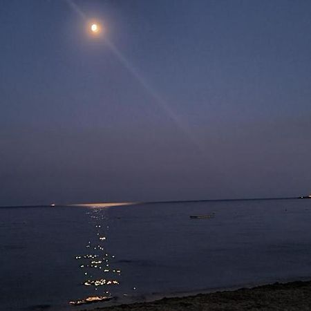 Le Tamaya Plage Charmant T2 En Rez De Jardin A 2 Pas D Une Belle Plage De Toutes Commodites Et Centre Ville Port キャバレール・シュル・メール エクステリア 写真