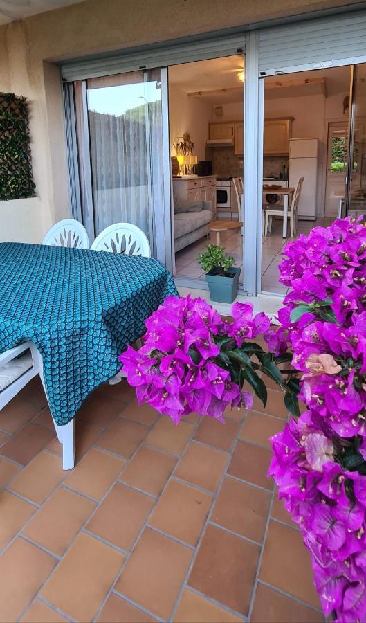 Le Tamaya Plage Charmant T2 En Rez De Jardin A 2 Pas D Une Belle Plage De Toutes Commodites Et Centre Ville Port キャバレール・シュル・メール エクステリア 写真